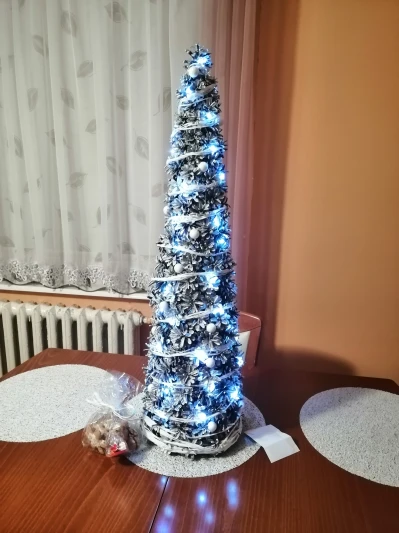 IMG_20201221_193216.jpg