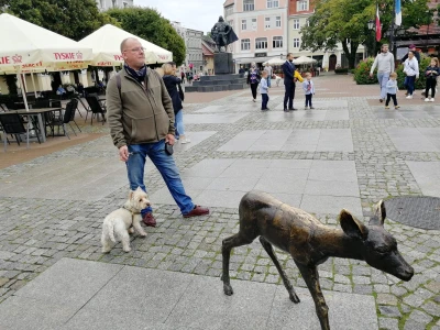 Miniatura
