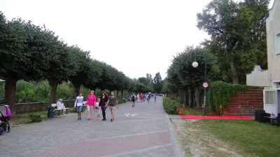DSC01416.jpg
