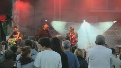 Koncert Maleńczuka na Dniach Redy