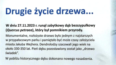 Fot. Leszek Spigarski
