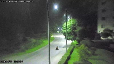 Krzyczał między blokami i uciekł do lasu. Później przyznał się do amfetaminy