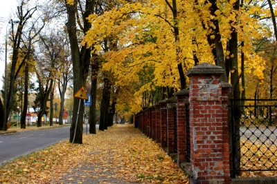 Parki wejherowskie