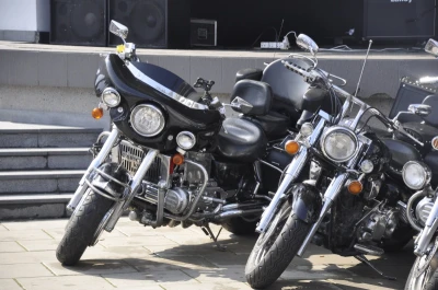 Motoserca w Sopocie