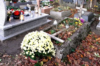 źródło: Leszek Spigarski
