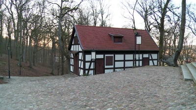 Miniatura