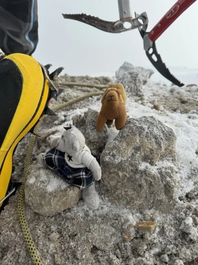 Miniatura