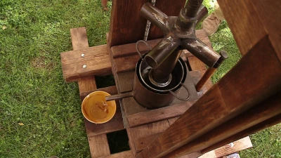 Piknik Ginących Zawodów w Domku Drzewiarza