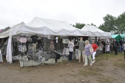 V Piknik Militarny w Lisewie
