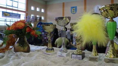 Wystawa kotów rasowych w Pucku