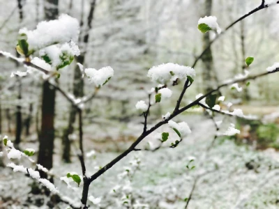 Zima wróciła na Pomorze fot. czytelnicy
