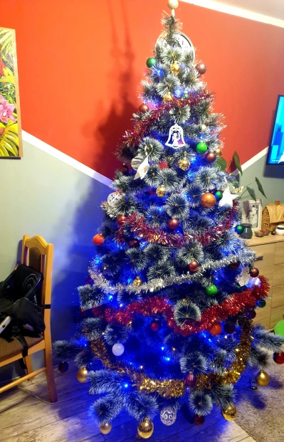 20201206_201652.jpg