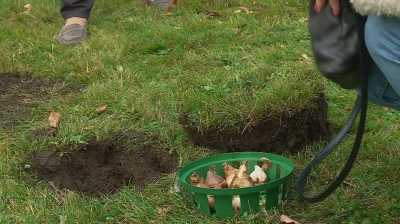 Wiosna pełna kolorów w Pucku