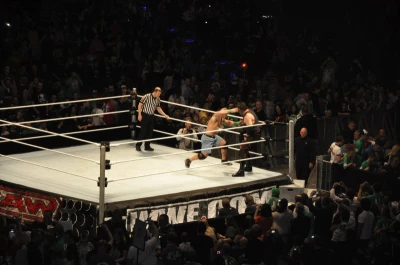 Wrestling - wszystkie chwyty dozwolone