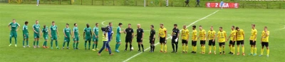 Gryf Wejherowo - Radomiak Radom