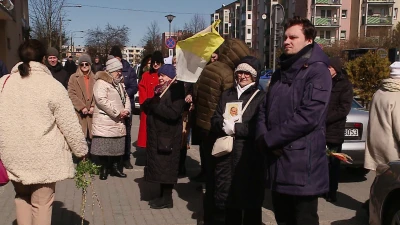 vlcsnap-2023-04-03-08h57m34s465.png