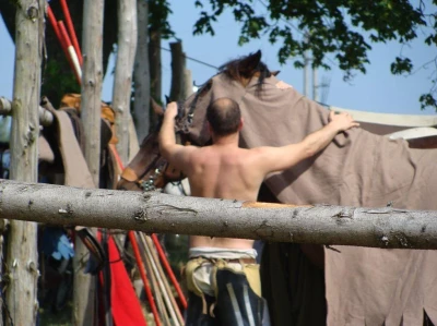 Rekonstrukcja Bitwy pod Świecinem