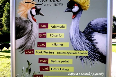 fot. Leszek Spigarski 