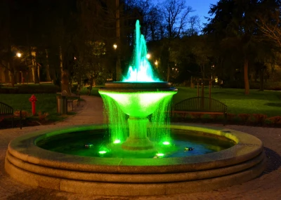 DSC_0067.jpg