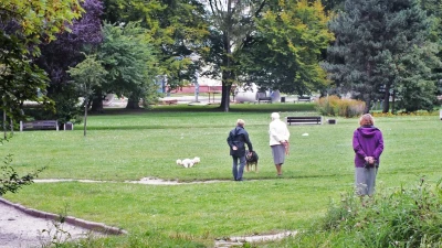 Gdynia niedzielnym popołudniem