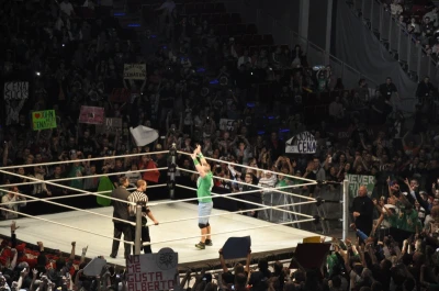 Wrestling - wszystkie chwyty dozwolone