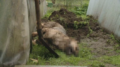 Wejherowo: Chciał ulżyć w cierpieniu, a zadał katusze