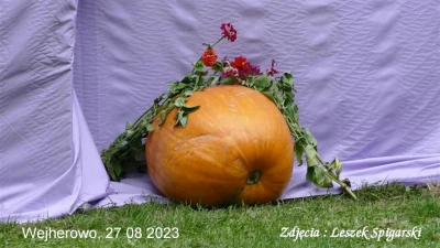 59 - 2023 08 27 fot. Leszek Spigarski 44.JPG