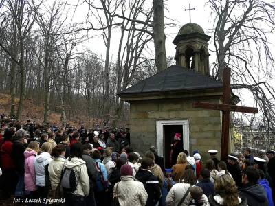 Fot. Leszek Spigarski