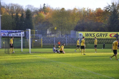 Gryf Orlex Wejherowo - Ruch Zdzieszowice