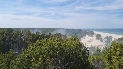 Miniatura
