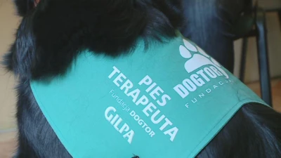 Psi terapeuci w szpitalu dziecięcym w Gdyni