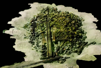 Miniatura