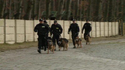 Ćwiczenia policji na stadionie Gryfa Orlex