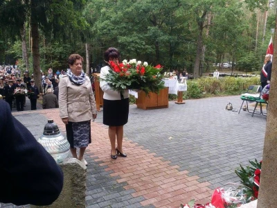 fot. Daniel Zaputowicz