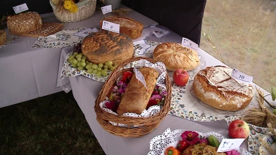 vlcsnap-2022-08-22-13h09m29s475.png