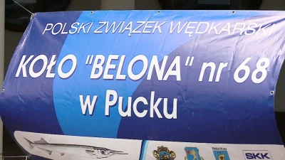 Belonada 2014