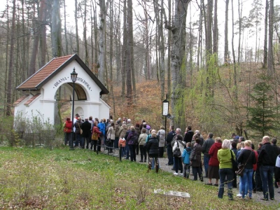 fot. Leszek Spigarski