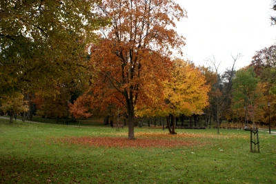 Parki wejherowskie