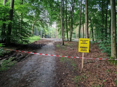 Co powstaje w redzkiej części Puszczy Darżlubskiej? Postawiono na sport i rekreację