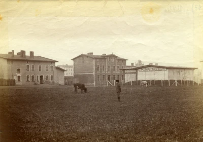 Miniatura