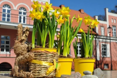 Wielkanocny Pałac foto. Anna Tarnowska