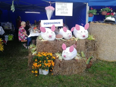 Dożynki gminno-powiatowe w Kosakowie