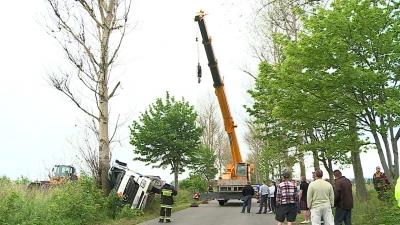 Betoniarka wpadła na drzewo