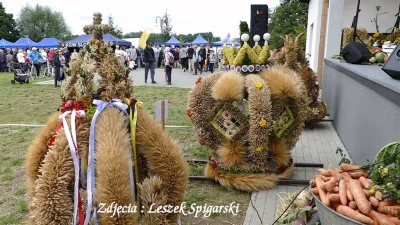 fot. Leszek Spigarski
