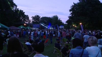 vlcsnap-2019-08-02-15h15m44s777.png