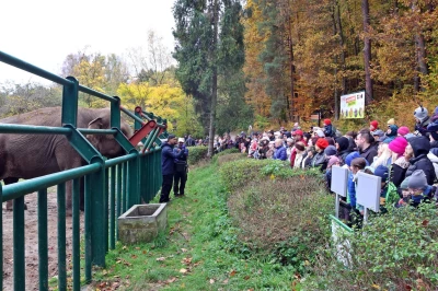 Tajemnicza kryjówka kłusownika w gdańskim zoo. Uczestnicy będą mieli tylko godzinę na uratowanie zwierząt!