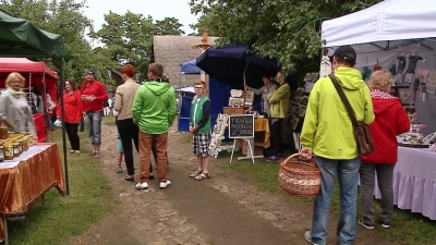 Krancbal 2015