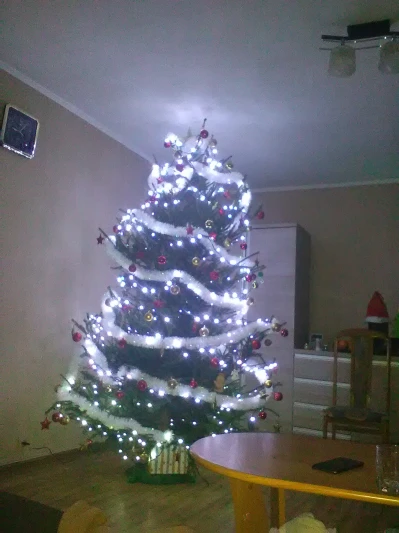 IMG_20201213_210512.jpg