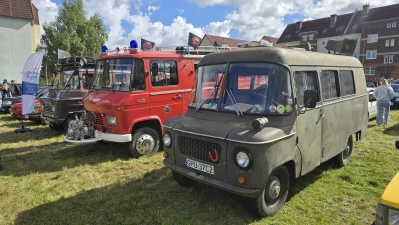 Miniatura