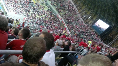 Kibice podczas meczu Polska-Niemcy